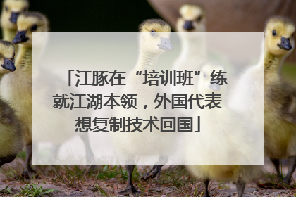 江豚在“培训班”练就江湖本领，外国代表想复制技术回国