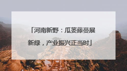 河南新野：瓜蒌藤蔓展新绿，产业振兴正当时