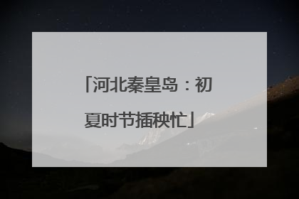 河北秦皇岛：初夏时节插秧忙