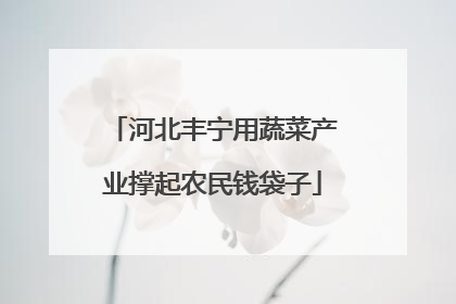 河北丰宁用蔬菜产业撑起农民钱袋子