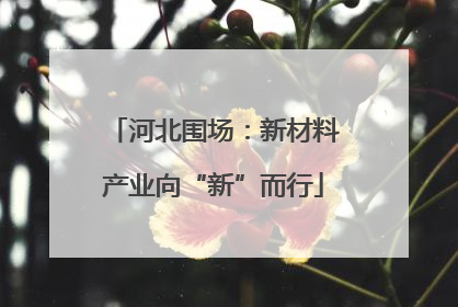 河北围场：新材料产业向“新”而行