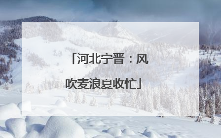 河北宁晋：风吹麦浪夏收忙