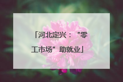 河北定兴：“零工市场”助就业