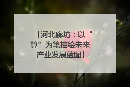 河北廊坊：以“算”为笔描绘未来产业发展蓝图