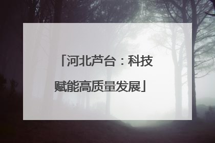 河北芦台：科技赋能高质量发展