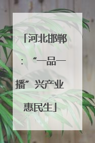 河北邯郸：“一品一播”兴产业惠民生