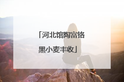 河北馆陶富铬黑小麦丰收