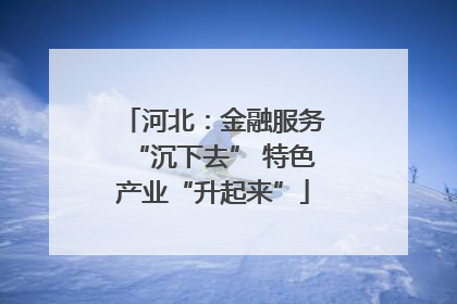 河北：金融服务“沉下去” 特色产业“升起来”