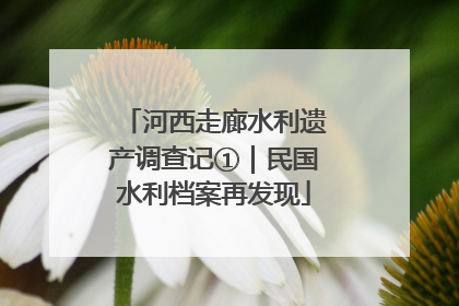 河西走廊水利遗产调查记①｜民国水利档案再发现