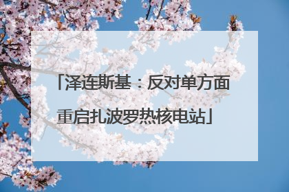 泽连斯基：反对单方面重启扎波罗热核电站