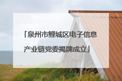 泉州市鲤城区电子信息产业链党委揭牌成立