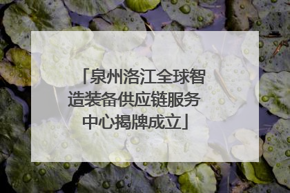 泉州洛江全球智造装备供应链服务中心揭牌成立