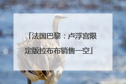 法国巴黎：卢浮宫限定版拉布布销售一空
