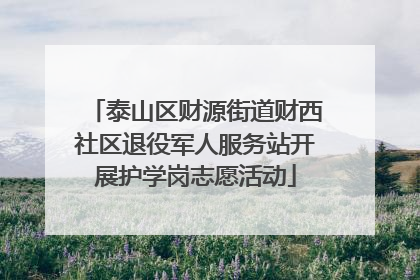 泰山区财源街道财西社区退役军人服务站开展护学岗志愿活动