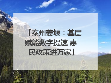 泰州姜堰：基层赋能数字提速 惠民政策进万家