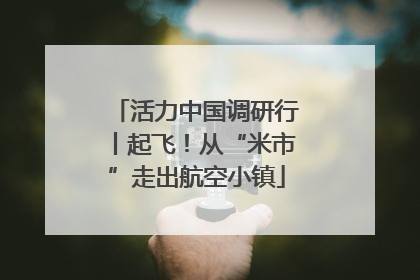 活力中国调研行丨起飞！从“米市”走出航空小镇