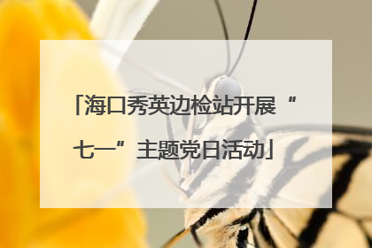 海口秀英边检站开展“七一”主题党日活动