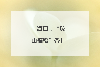 海口：“琼山福稻”香
