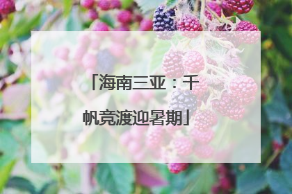 海南三亚：千帆竞渡迎暑期