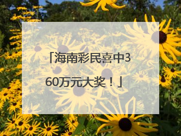 海南彩民喜中360万元大奖！