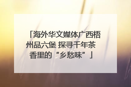 海外华文媒体广西梧州品六堡 探寻千年茶香里的“乡愁味”