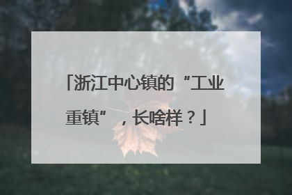 浙江中心镇的“工业重镇”，长啥样？