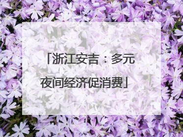 浙江安吉：多元夜间经济促消费