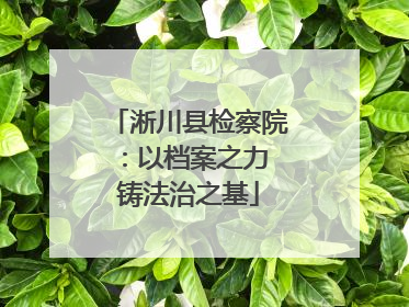淅川县检察院：以档案之力 铸法治之基