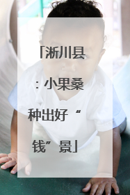 淅川县：小果桑种出好“钱”景