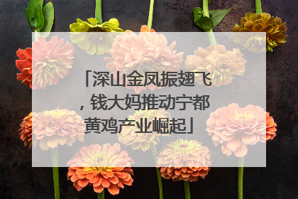 深山金凤振翅飞，钱大妈推动宁都黄鸡产业崛起