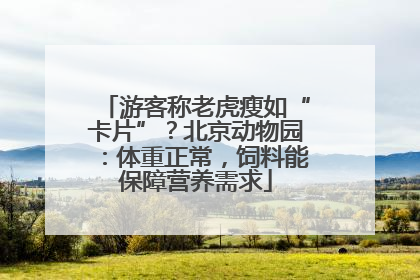 游客称老虎瘦如“卡片”？北京动物园：体重正常，饲料能保障营养需求