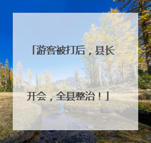 游客被打后，县长开会，全县整治！