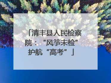 清丰县人民检察院：“风筝未检”护航“高考”