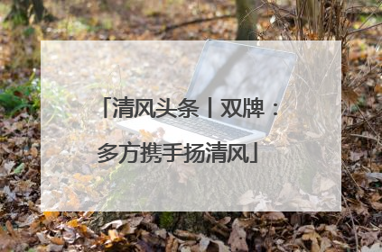 清风头条丨双牌：多方携手扬清风