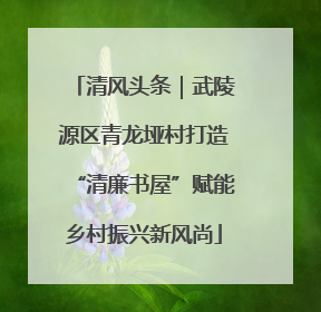 清风头条｜武陵源区青龙垭村打造“清廉书屋”赋能乡村振兴新风尚