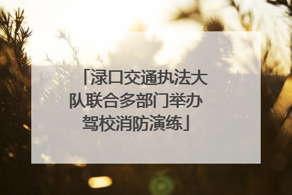 渌口交通执法大队联合多部门举办驾校消防演练