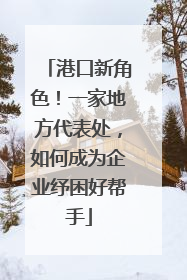 港口新角色！一家地方代表处，如何成为企业纾困好帮手