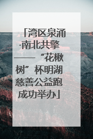 湾区泉涌·南北共擎——“花楸树”杯明湖慈善公益跑成功举办