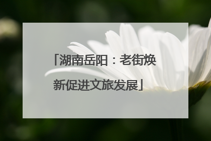 湖南岳阳：老街焕新促进文旅发展