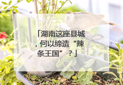 湖南这座县城，何以缔造“辣条王国”？