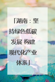 湖南：坚持绿色低碳发展 构建现代化产业体系