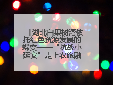 湖北白果树湾依托红色资源发展的蝶变——“抗战小延安”走上农旅融合振兴路