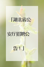 湖北省公安厅招聘公告！