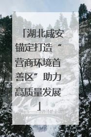 湖北咸安锚定打造“营商环境首善区”助力高质量发展