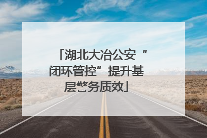 湖北大冶公安“闭环管控”提升基层警务质效