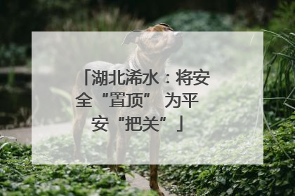 湖北浠水：将安全“置顶” 为平安“把关”