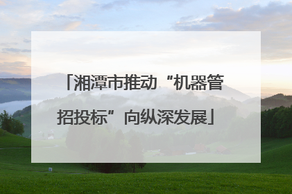 湘潭市推动“机器管招投标”向纵深发展