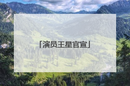 演员王星官宣