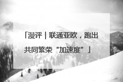 漫评｜联通亚欧，跑出共同繁荣“加速度”