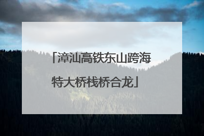 漳汕高铁东山跨海特大桥栈桥合龙